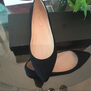 Black Pointed Ballet Flats - Limited Edition